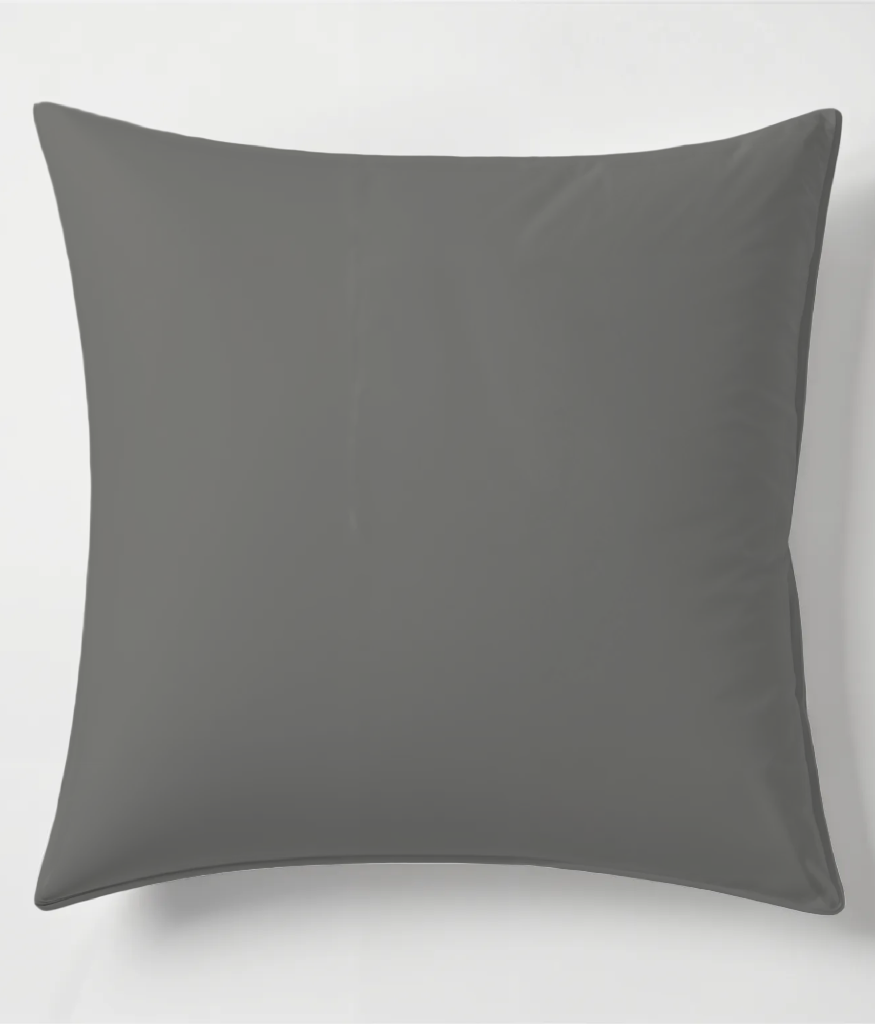 Charcoal Pillows & Cushions