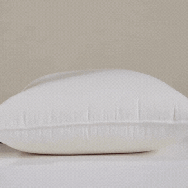 Firm Density Pillow