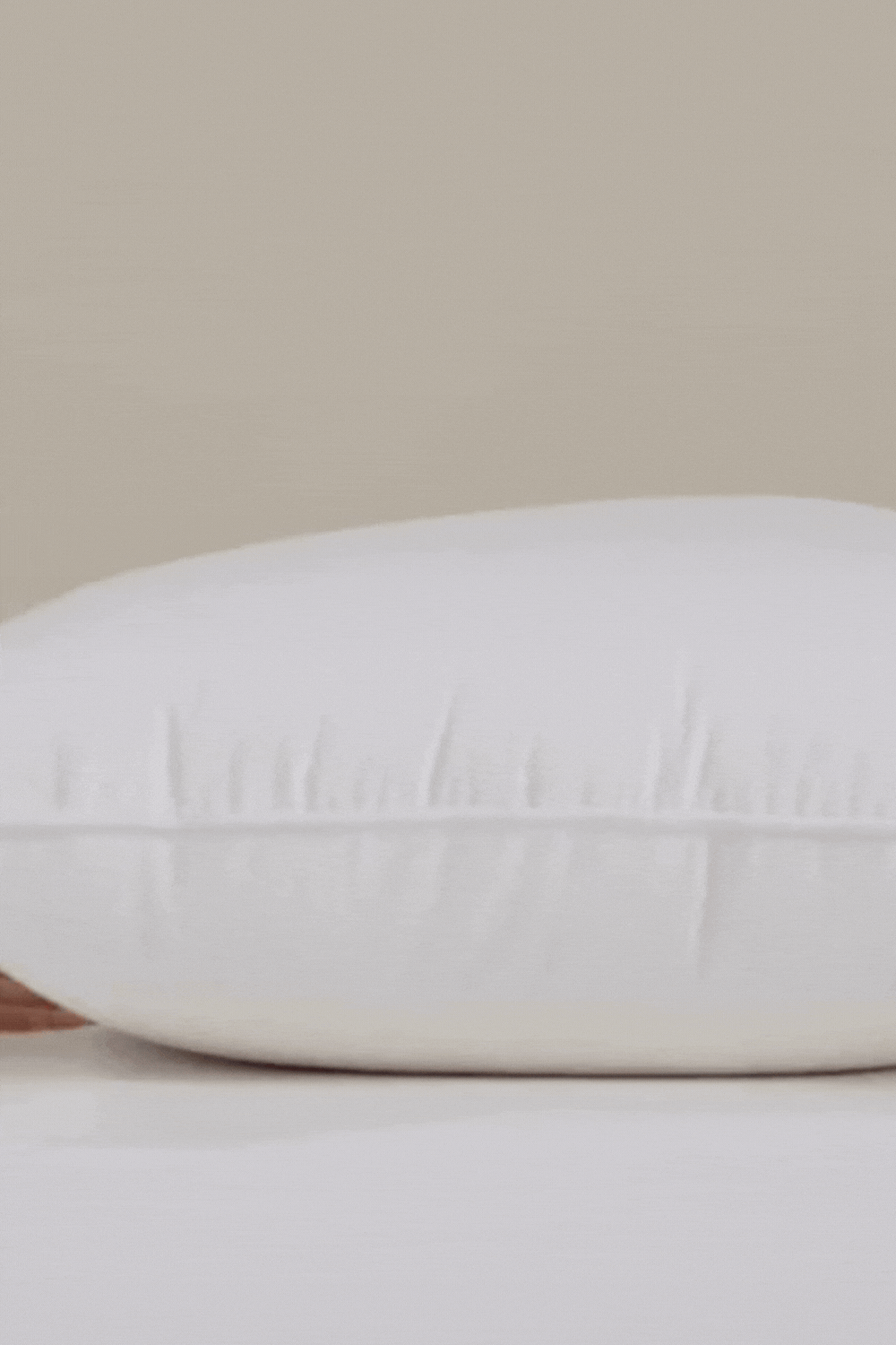 Medium Density Pillow