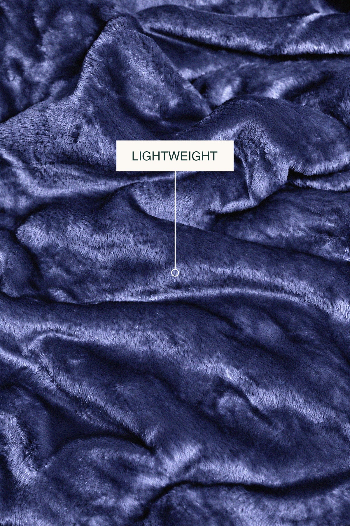 Navy Plush Blanket