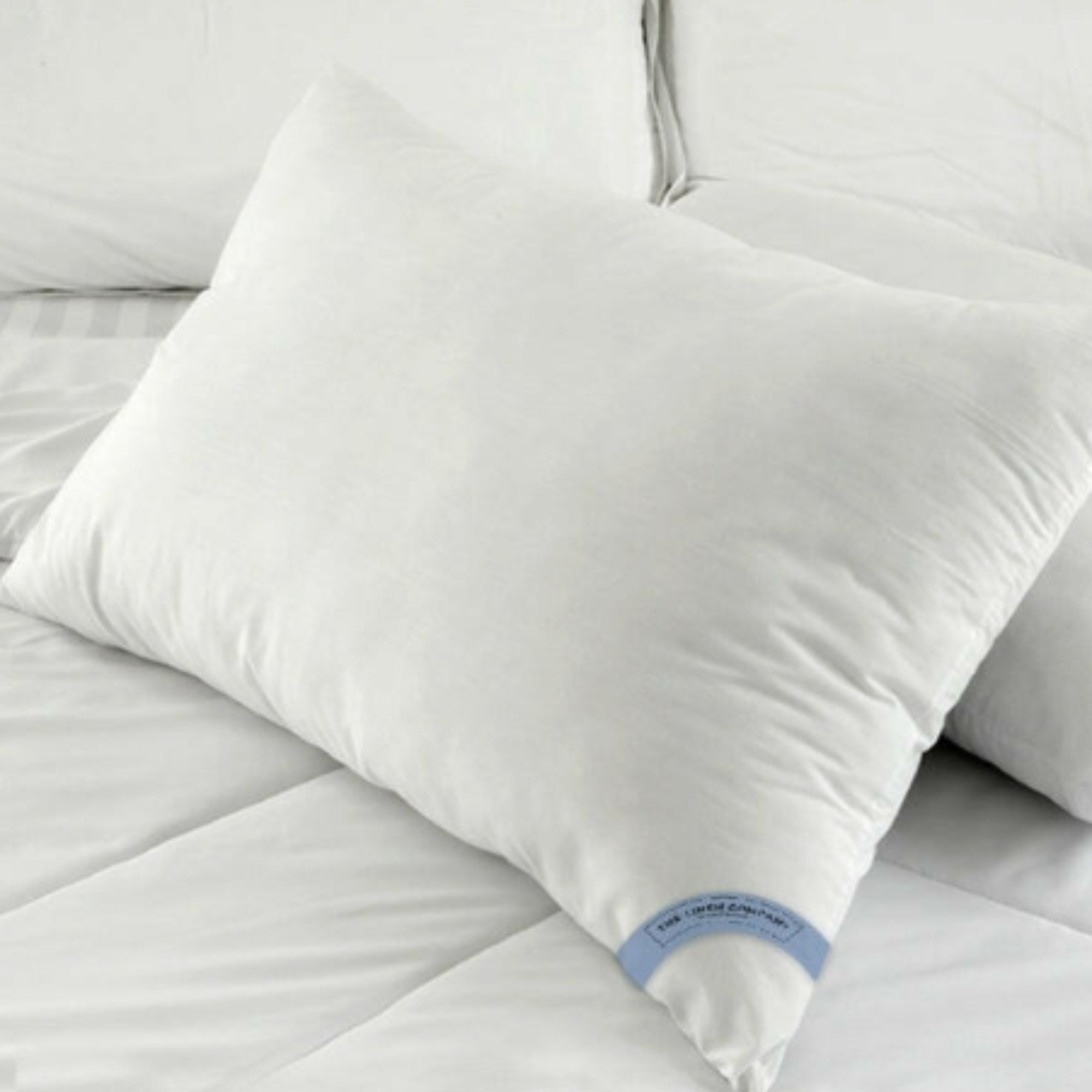 Firm Density Pillow - Down Alternative