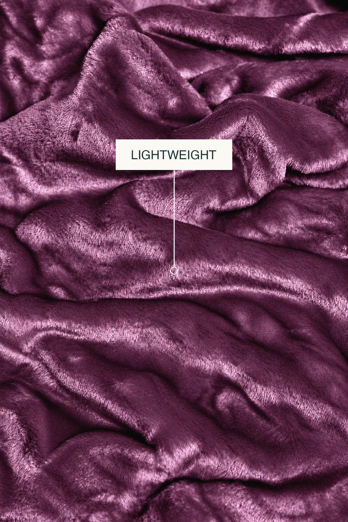 Plum Plush Blanket
