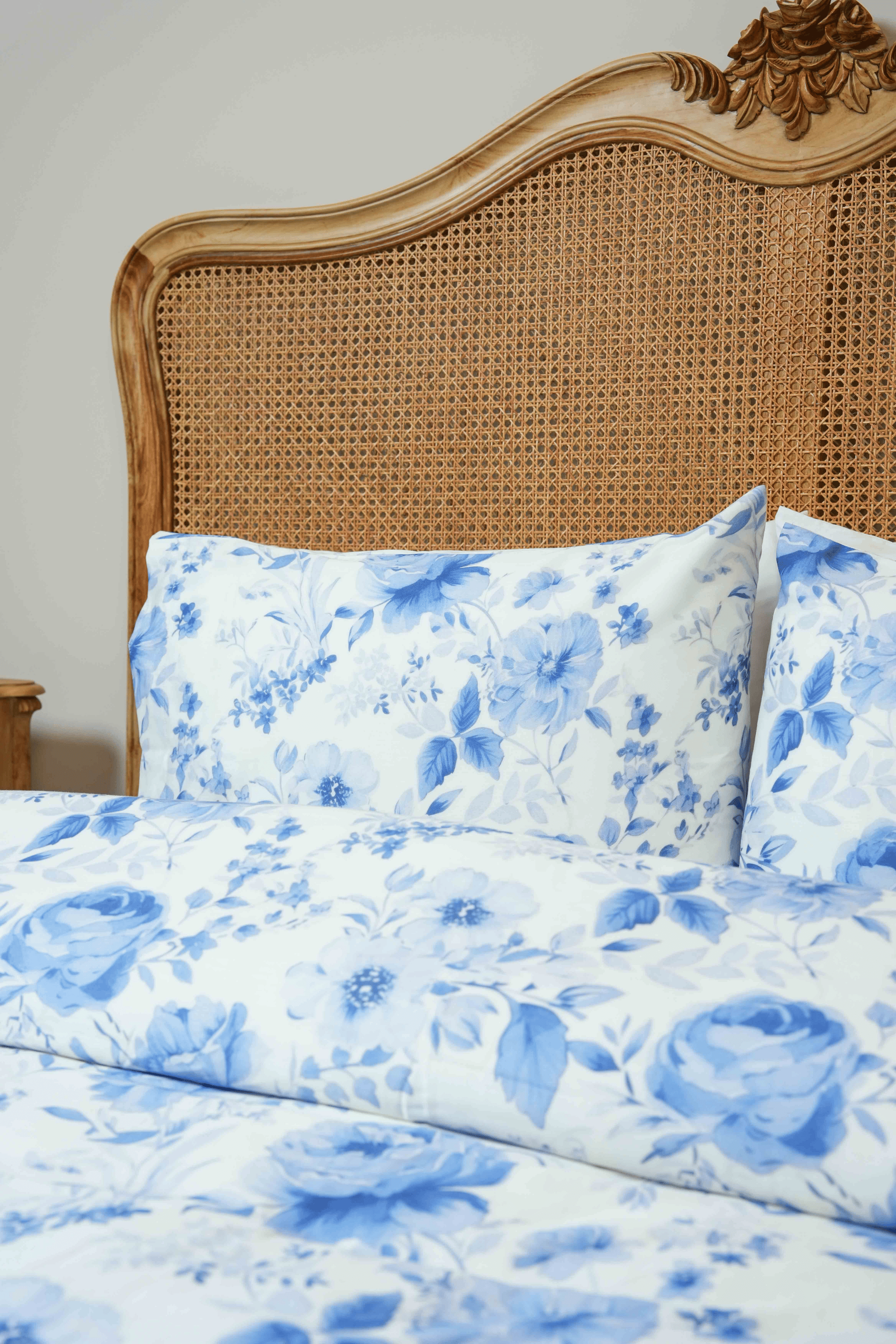 Elysia Pillows & Cushions