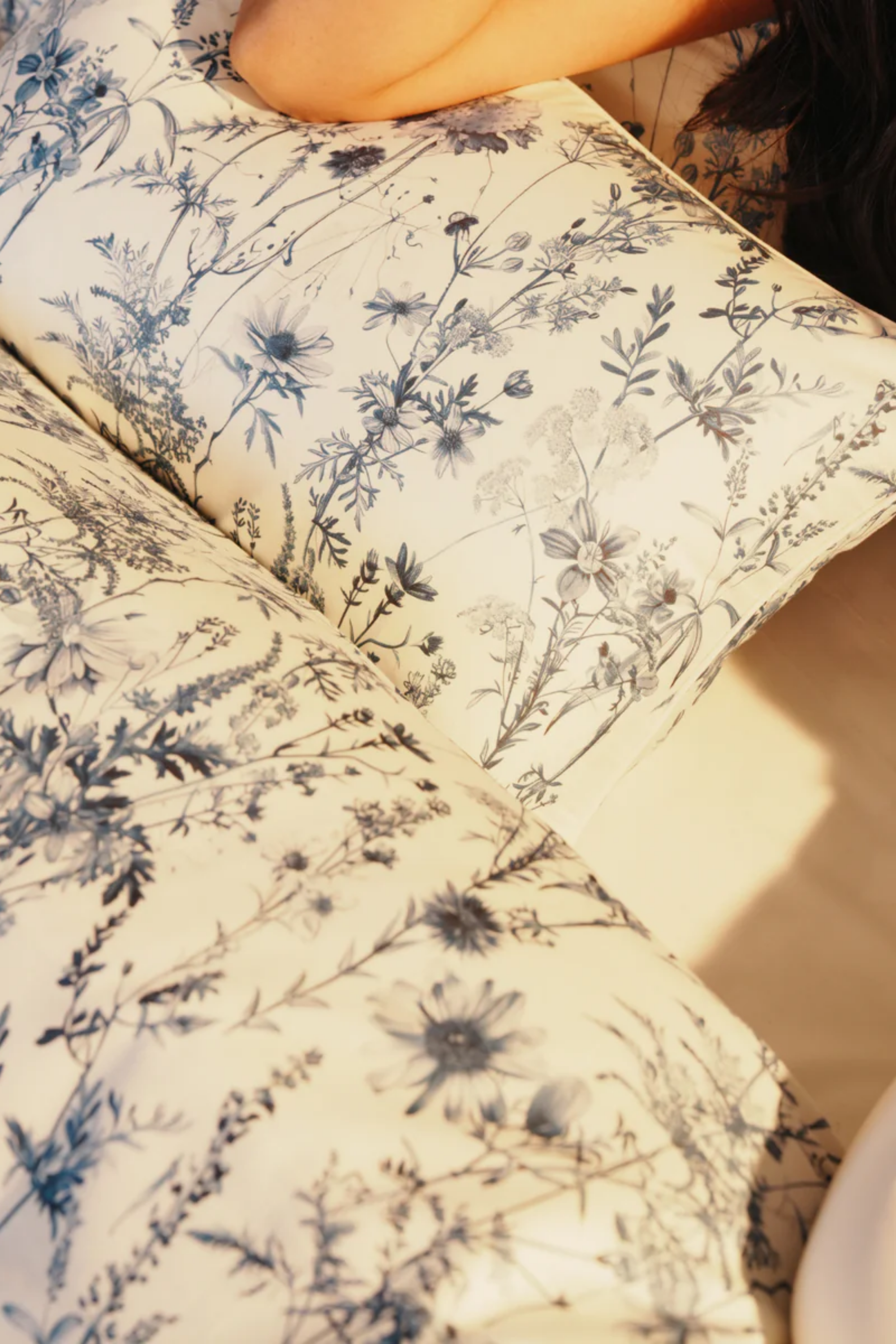 Floralis Pillows & Cushions