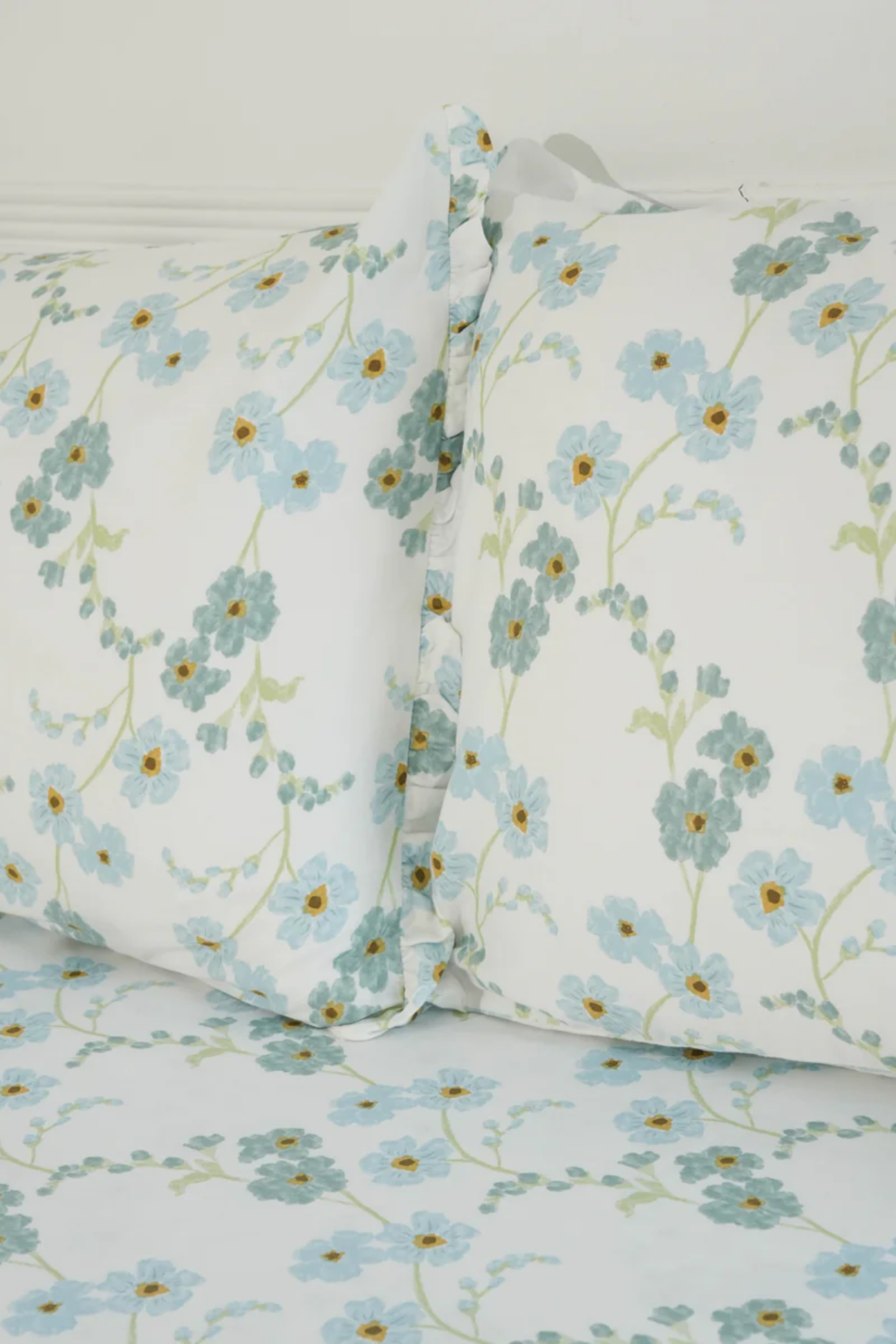 سنکی کشن کور