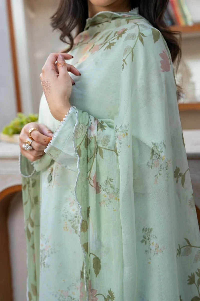 Sage Haven - Printed Lawn Suit