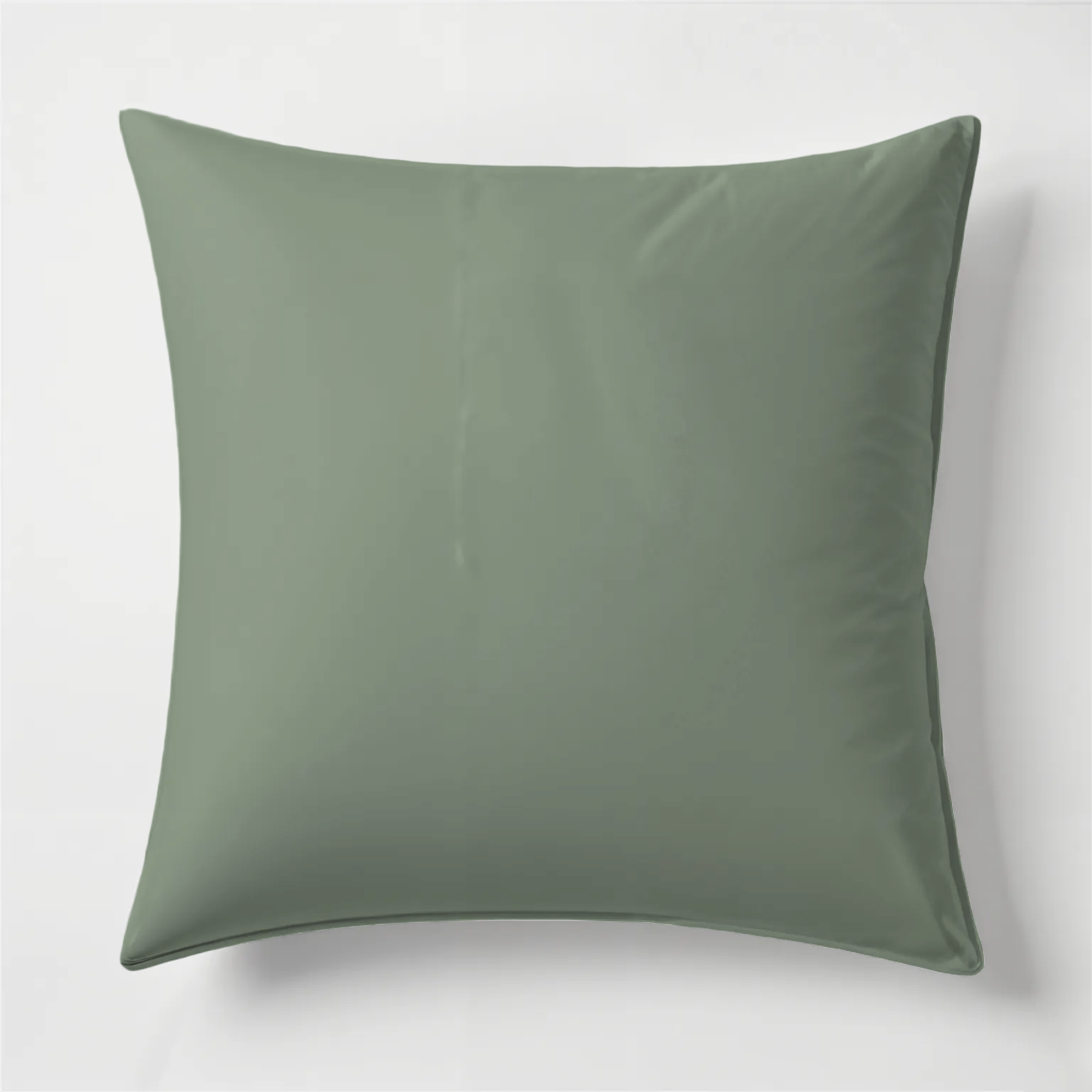 Eucalyptus Green Pillows & Cushion