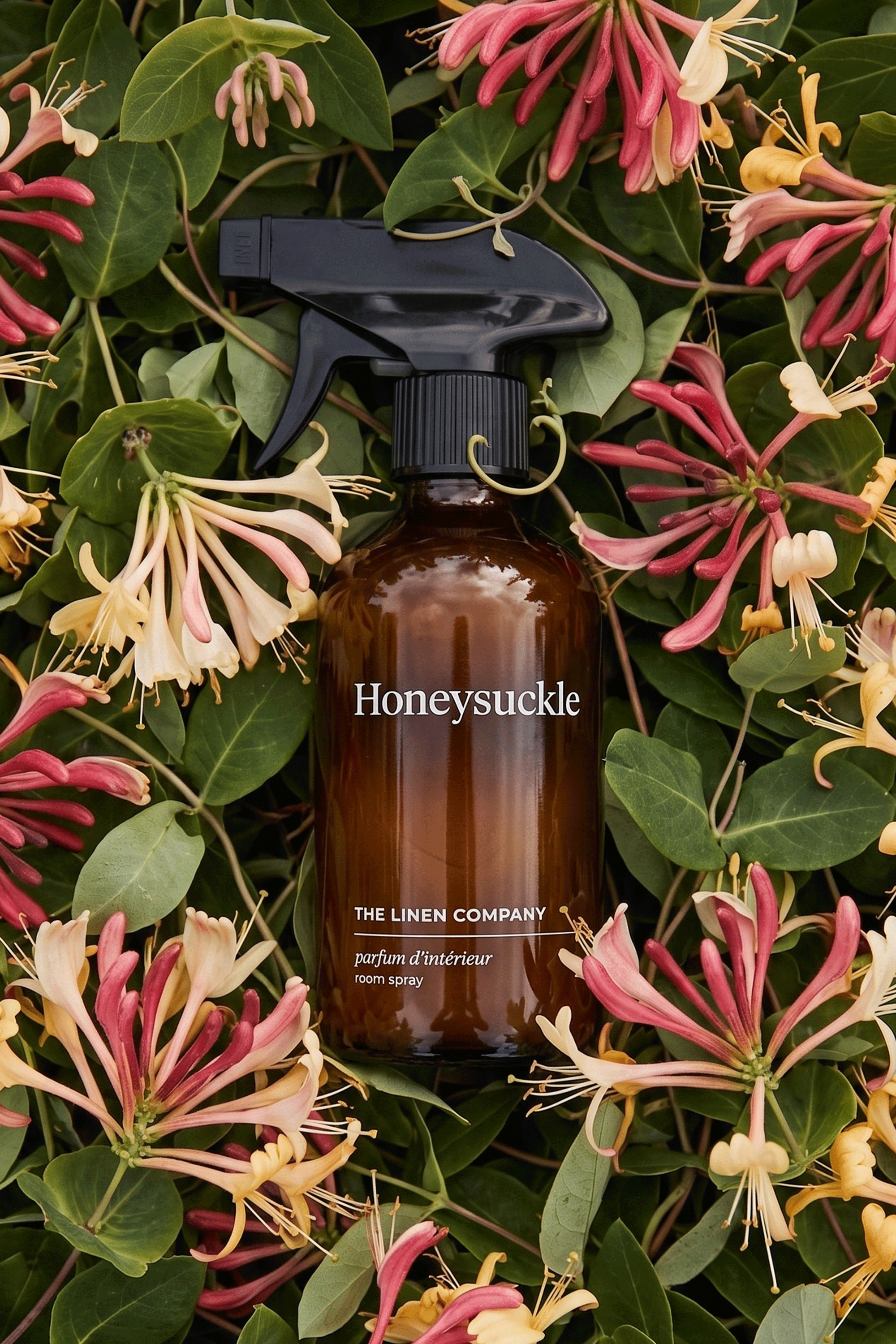 Honeysuckle